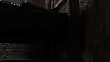 Ultimate SFM Futa Compilation - 3 image