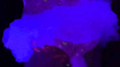 new teen crossdresser sissy slut lorri lacedown - 3 image