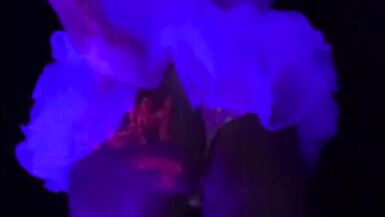 new teen crossdresser sissy slut lorri lacedown - 4 image