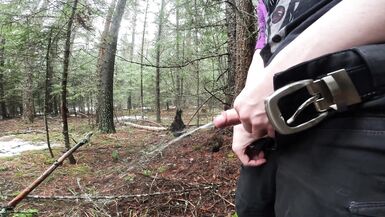 Peeing in the Misty Woods - 2 image