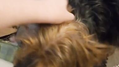 FTM Junkhouse Masterburation - 5 image