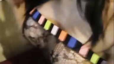 Super shemale whore play safe with a condom in the ass - 15 image