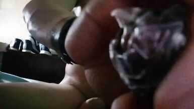 Delizioso cazzo transessuale ecuadoriano mangiato dal fidanzato sottomesso 2 - 9 image