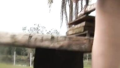 Cock-loving stud deep throats hot trannies hard cock on a picnic table and fucks - 2 image