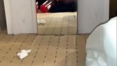 Solo Crossdressing Teen Compilation Piss, piss enema, huge dildos, ATM, high heels, feet lingerie