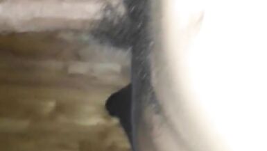 My Lil Asian CD That Could - 5 image