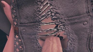 ELDEN RING Melina Taker POV