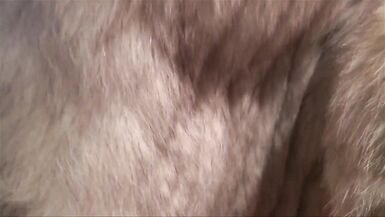 le client voulait une putain toute en cuir et cuissardes - 2 image