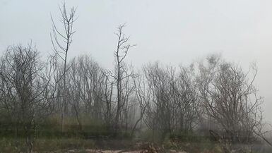 Dark Angel Dark Princess [9-23] [11-05] Dark Angel Dark Princess - The Become (Backstory Cut) - 9 image