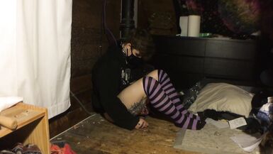 leashed femboy in chastity plays with vibrator - 2 image