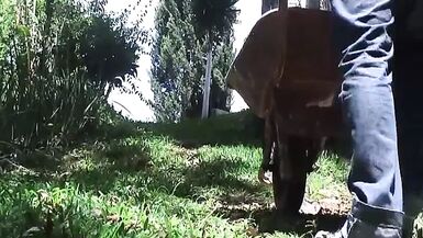 BRAZILIAN SHE-MALE Vision from ROBERT HILL!!! - vol. #60 - 1 image