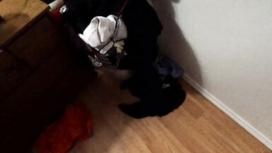 Sissy Maid Self Bondage Fiddle - 14 image