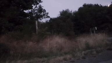 at the dawn of a beautiful day - 10 image