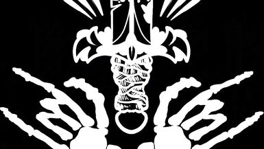 Amateur Tgirl poses and plays with a dildo - 13 image