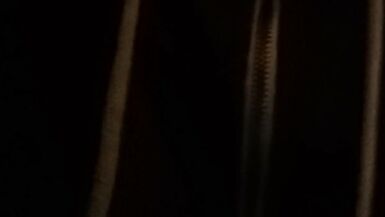 Latina video at home oh yes morbid oh yes - 5 image