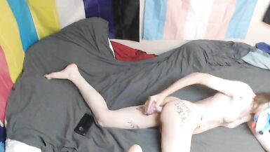 Trans Pup takes Fantasy horse dildo - 11 image