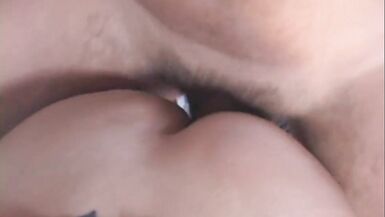 Transen Report 6 - Episode 2 - 9 image