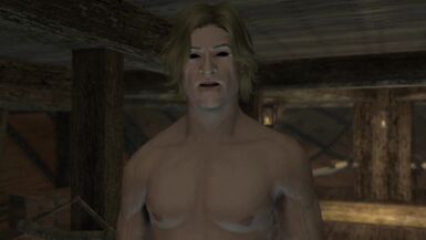 Group Celebration After Valenwood - 14 image