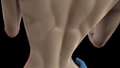 C18 is fucked for Vados futa femdom hard universe - 15 image