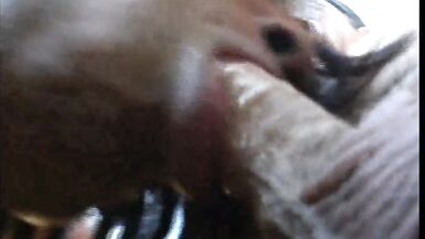 Stud wants Shemale's cock! - 7 image