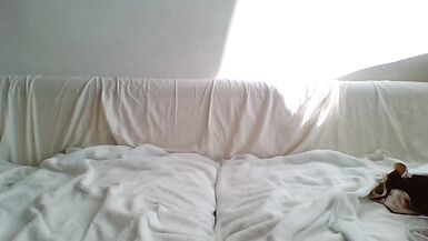 Ara bang herself well training days - 4 image