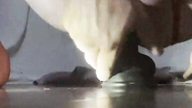 BBC dildo new cage for my clitty - 11 image