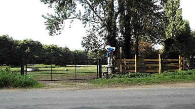 Tranny Ass Milk Squirting Compilation #2 - 8 image