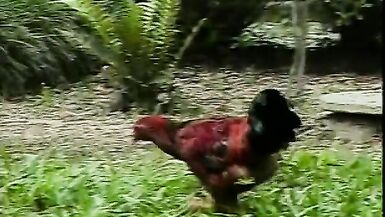 Sexy tranny bends guy over and rams her cock up his ass - 14 image