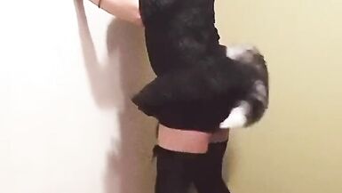 New Tits & Ass Outfits - 6 image