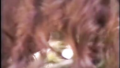 Redhaired and ravenheaded sunburnt t-gils enjoy having nasty foursome action at the  veranda right round the house - 9 image