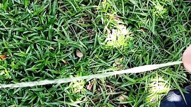 Cumming Before Pissing Compilation 10 Minutes - 8 image