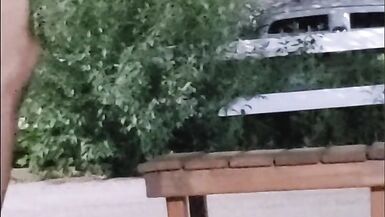 DeeDeeSlut69 Taking Her Toy as deep as she can on a park bench in public. - 10 image