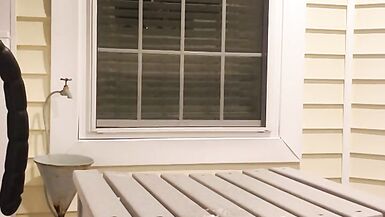 DeeDeeSlut69 Taking on a Horse Cock - 14 image