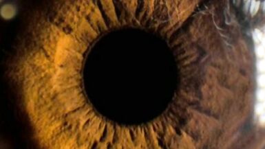 Domination audio masturbat yourself for me. french - 4 image