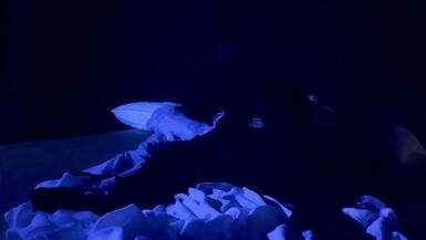 The Sexy Slutty Sissy Stepsisters Have Sex In The Cool Shade - 10 image