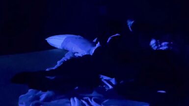 The Sexy Slutty Sissy Stepsisters Have Sex In The Cool Shade - 13 image