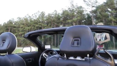 Mrs Samantha's roadtrip USA, Day 2, Ocala Florida (no sex) - 7 image