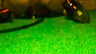 SluttransEmma Schoolgirl enema - 9 image