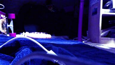 anal fucking. sexy close up of my ass pussy - 2 image