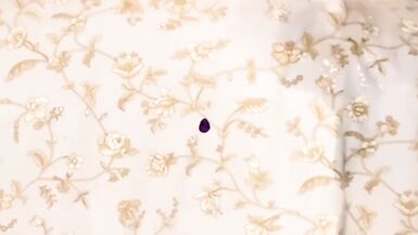 What does the Sissy fox  - 6 image