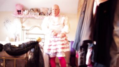 The Transformation of Sophie Part 1 - 14 image