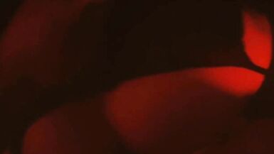 Final part of SexyV roughly sucking and getting fucked hard - 5 image