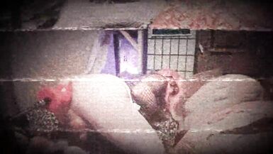 Anal Cisboy In Drag Tiffany Ciskiss Machined Boi Pussy - 13 image