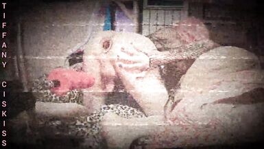 Anal Cisboy In Drag Tiffany Ciskiss Machined Boi Pussy - 5 image