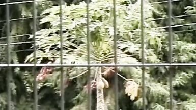 Hot transgressions for shemales eager for sex sc 2 - 5 image