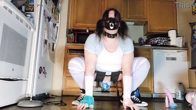 Levy's New Boncy Chair - 7 image