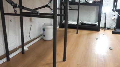 ALEXANDRA MIRET sad 12 - 14 image