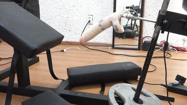 ALEXANDRA MIRET sad 12 - 6 image