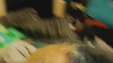 Emo Tranny takes a ride to clear her head~  - 2 image