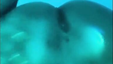 AFRICAN TS TWERKS + USES VIBRATOR - 2 image